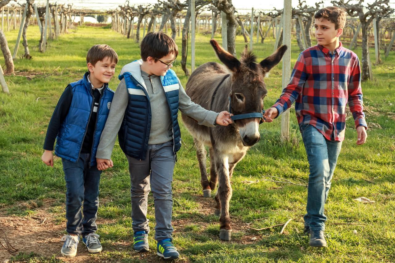 Azienda Agrituristica Il Pago Nova Siri Marina Bagian luar foto
