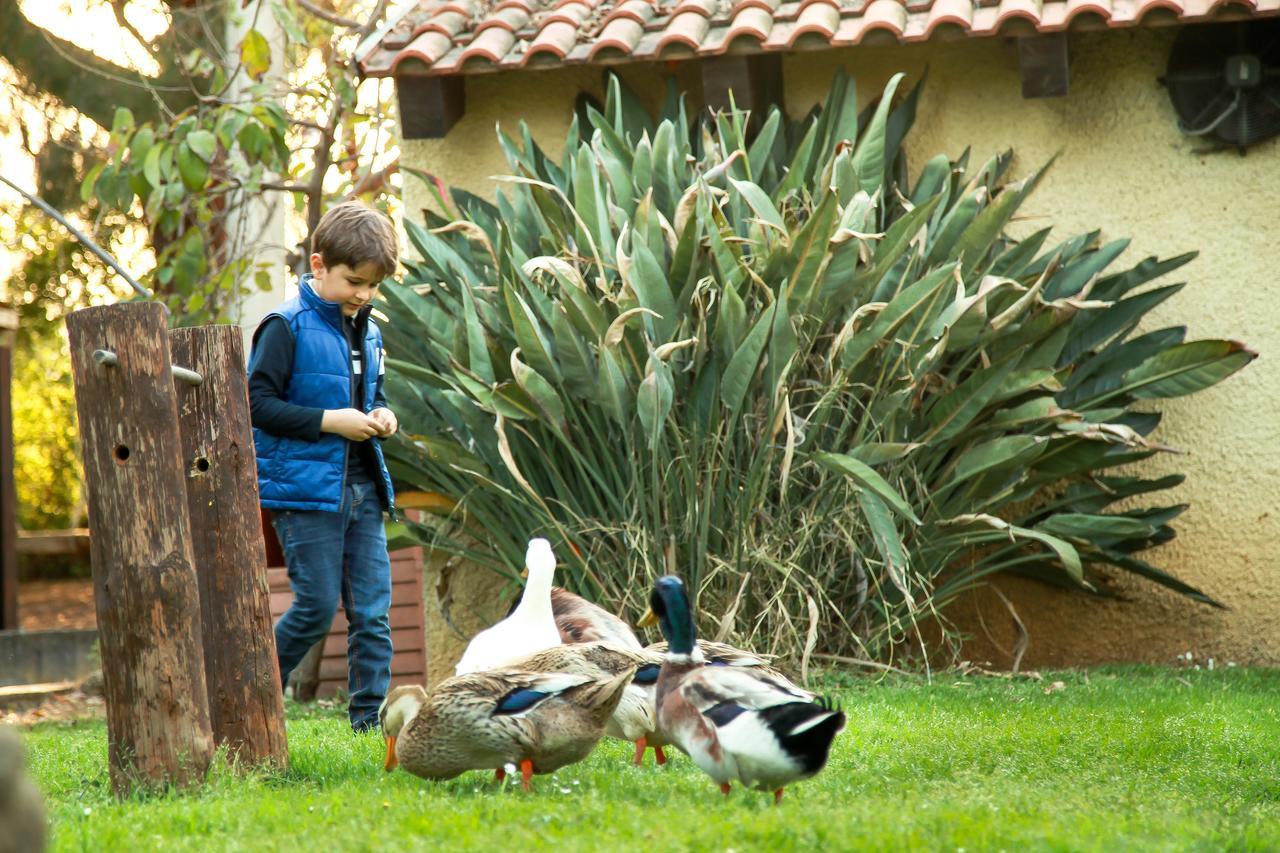 Azienda Agrituristica Il Pago Nova Siri Marina Bagian luar foto
